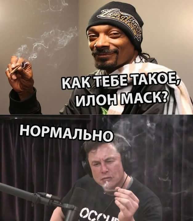 Всяческие картинки 08.12.2021