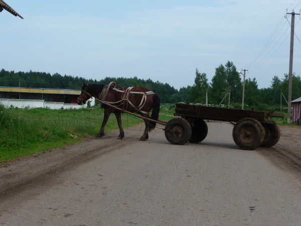 Поездка в Беларусь