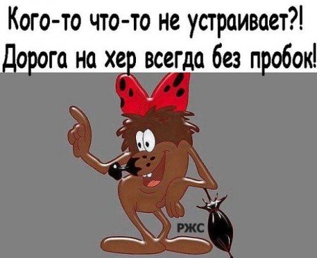 Французское телевидение пригласило в эфир жён «азовцев», а те оказались фанатками Гитлера