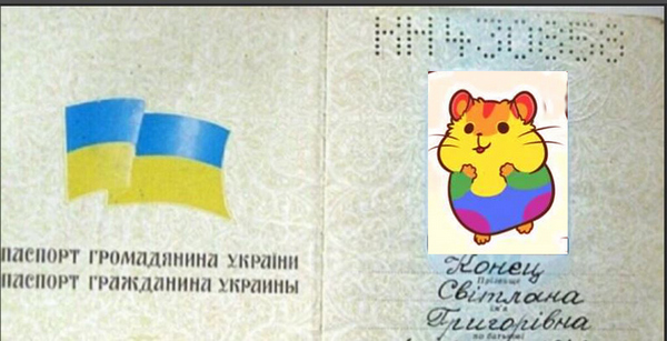 Пандемия съехавших крыш - разновидности болезни. Россия и мир. Часть 38