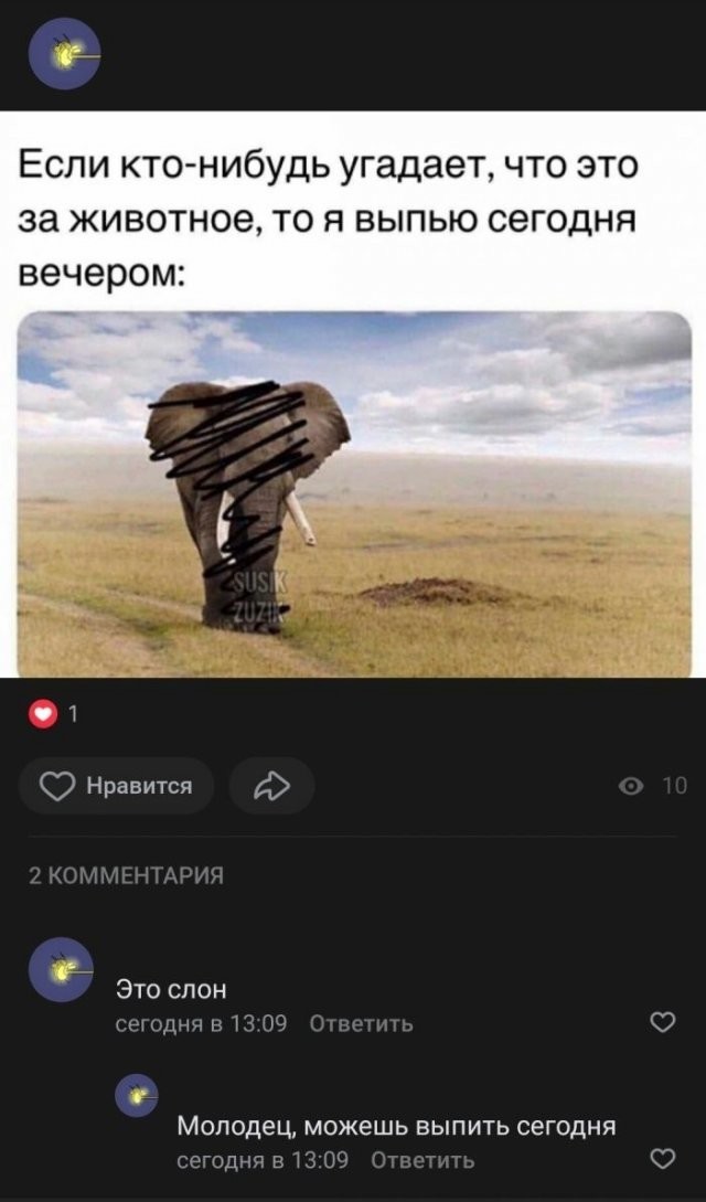 Скриншоты и комментарии из социальных сетей 30.07.22