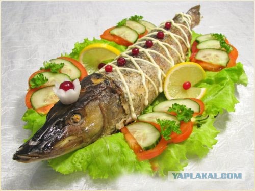 Охота на рыбалку