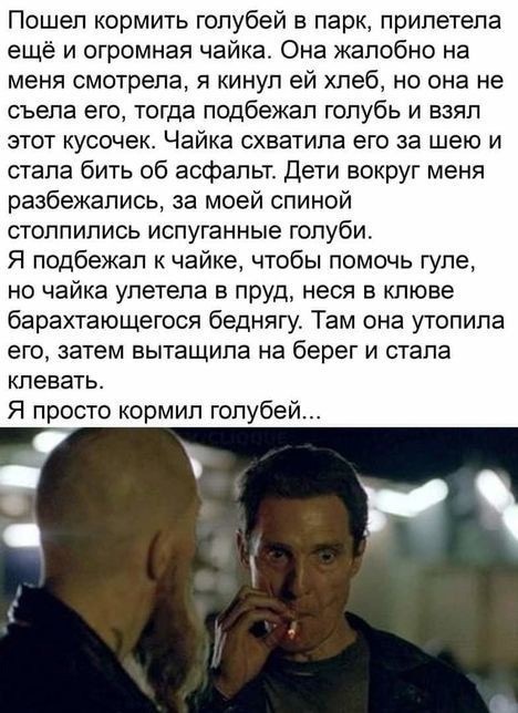 Вроде бы ничего не должно помешать трапезе