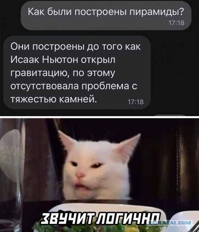 Картинки и мемы для настроения - 119
