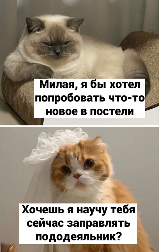Картинки и мемы, всяко разно - 183