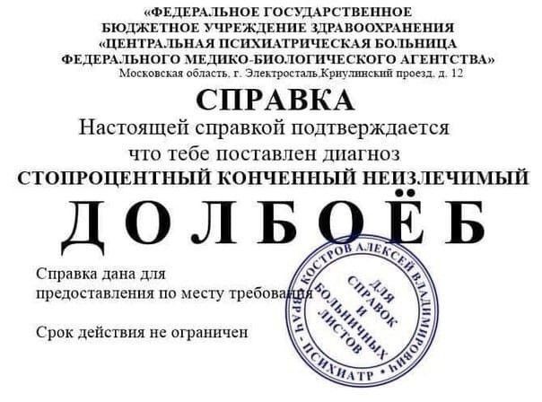 Когда начинается кошачья старость и как облегчить жизнь питомцу: важные моменты