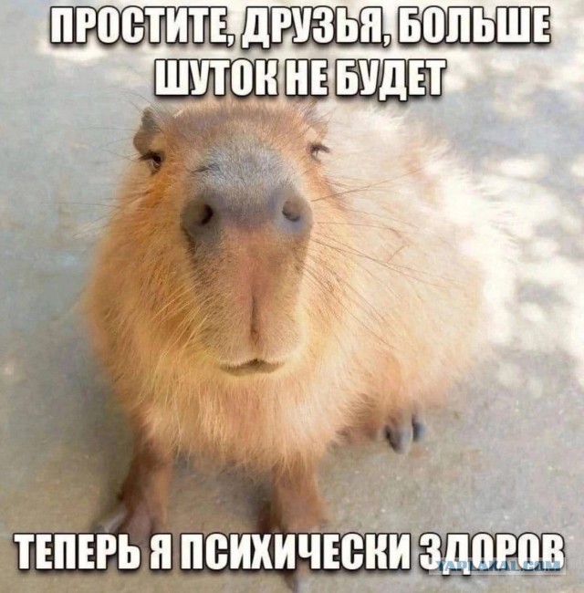 Картинки от Scodero часть 3