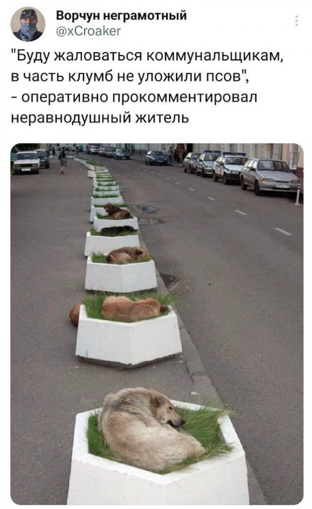 Забавные комментарии из социальных сетей (18.09.23)
