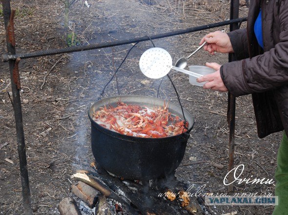 Как рыбаки на Днепре раков варили...