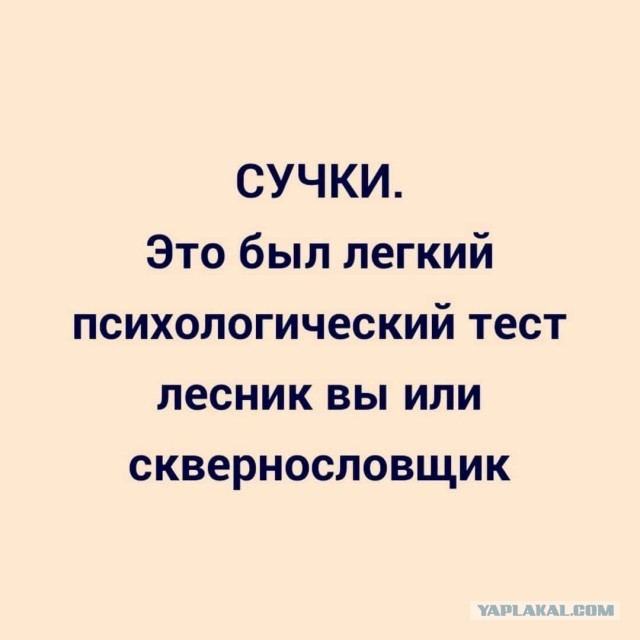 Мемчики и картинки для настроения и подумать