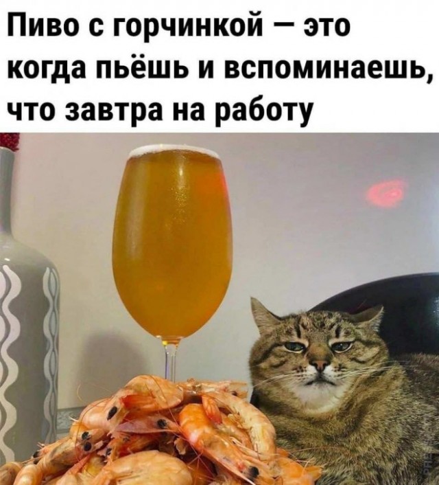 Так себе картинки 09.02.24
