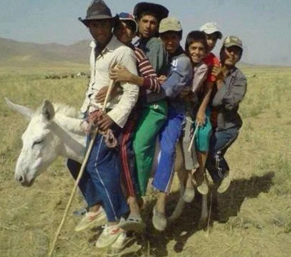 Экзамен по ПДД