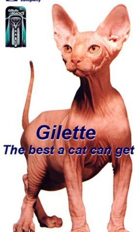 Gillette - лучше для мужчины нет!