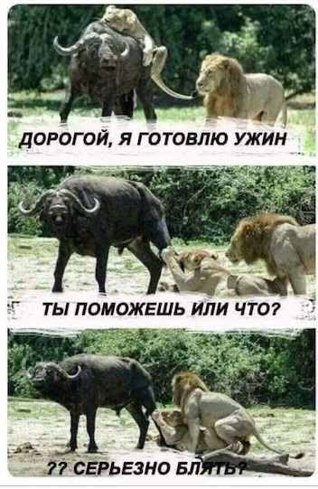 Давайте опубликуем