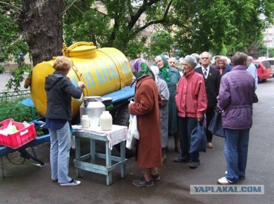 Загадка американских кур: почему мы видели только их окорочка, а остальную часть в РФ не везли. Как вообще выглядели те куры