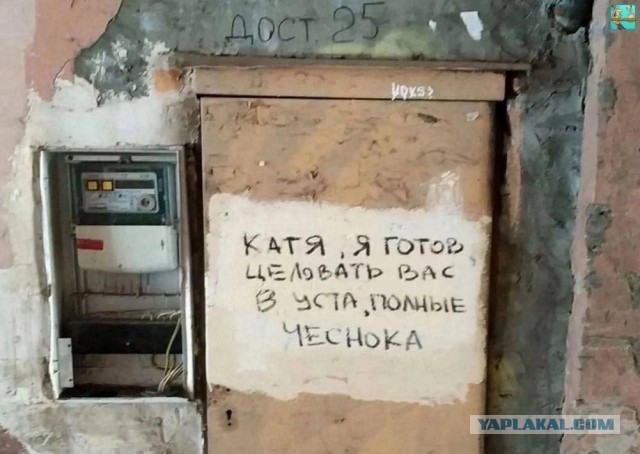 У меня муж дома