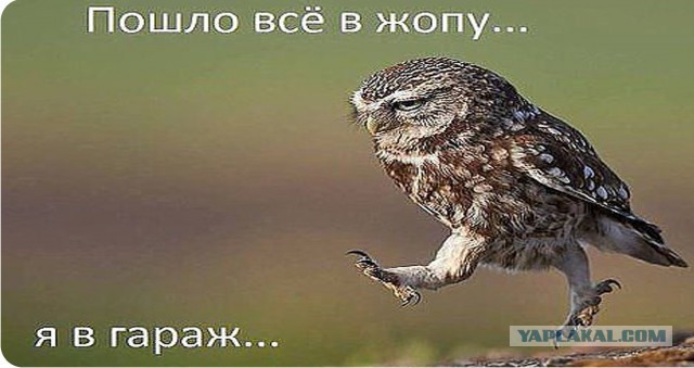 Названы мужские фразы, которые больше всего бесят российских женщин