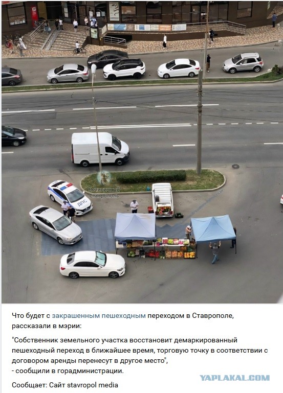 Торговцы фруктами самостоятельно закрасили пешеходный переход в Ставрополе