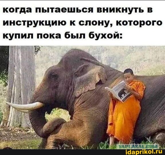 Немного картинок