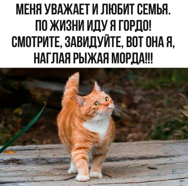 Картиночки, баянчики 02 апреля