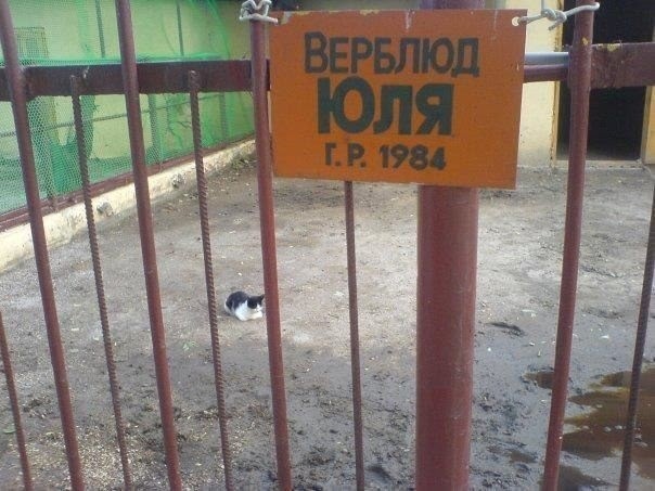 Среды картинки