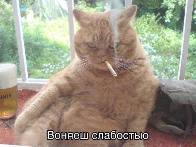 А давайте как раньше подурачимся