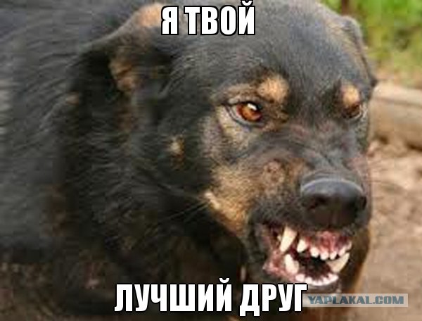 Противникам ДогХантеров