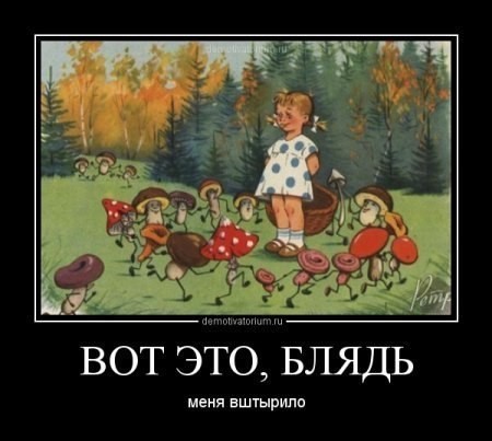 ТБ и леприкон