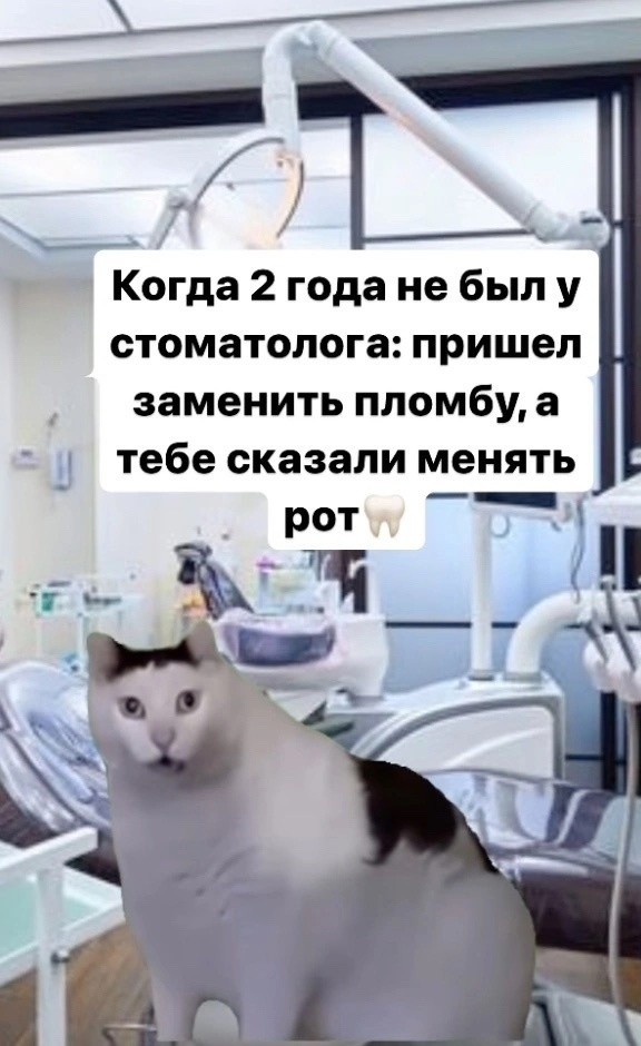 Зубная боль утихнет сразу после того, как вы увидите чек