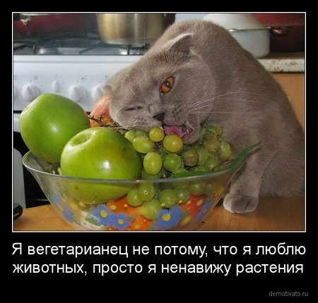 Жрите мясо!