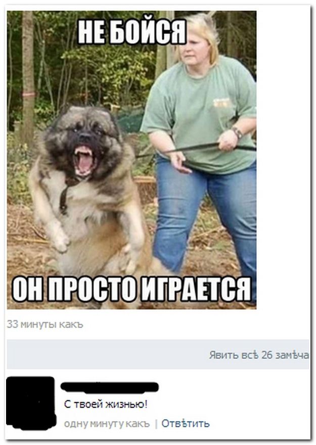 Смешные комментарии из социальных сетей.