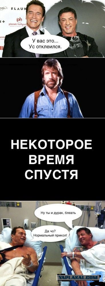 Арни тролль