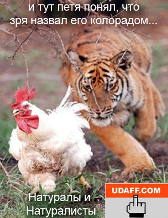 Порошенко поздравил остатки укроВВС