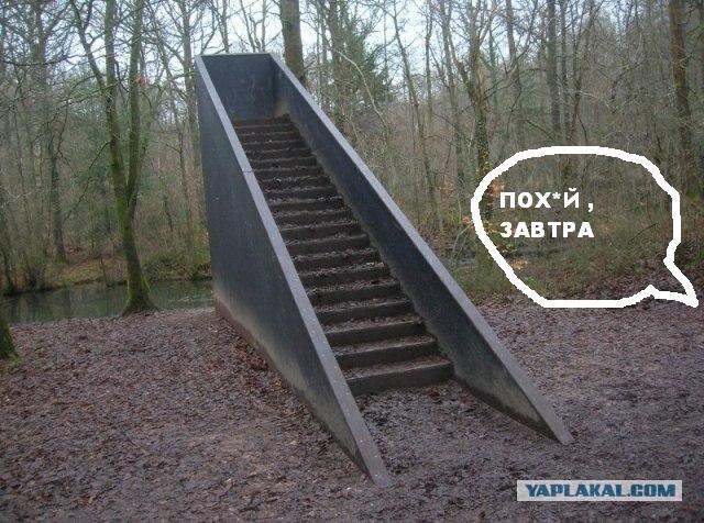 Загадочная лестница в лесу