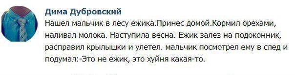 Комментарии и картинки из соц. сетей