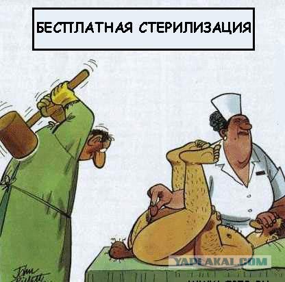 Весёлое из сети