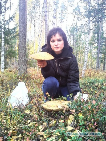 Костромские грибные места.