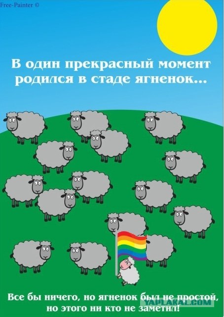 Стадо овец