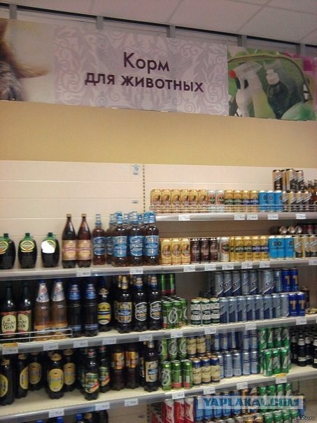 Веселые картинки