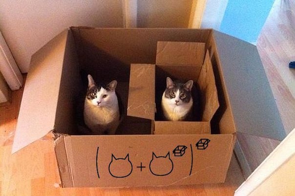 10 преимуществ котовладельцев :)