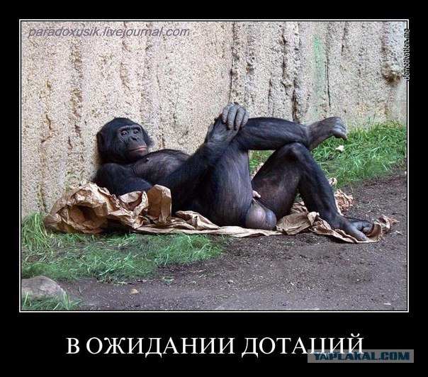 Президент Африки?