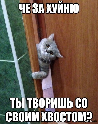 Захожу с утра в ванную...