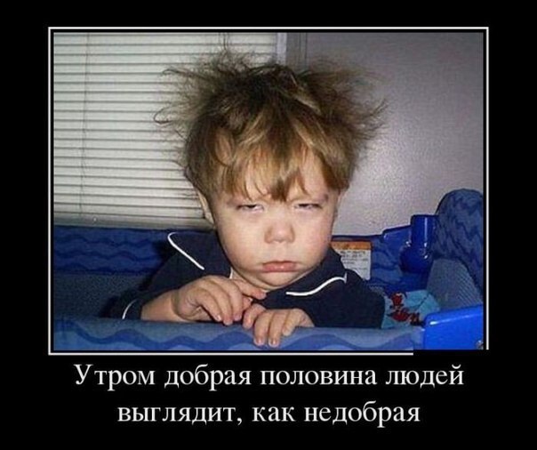Веселые картинки