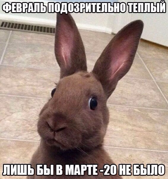 Веселые картинки