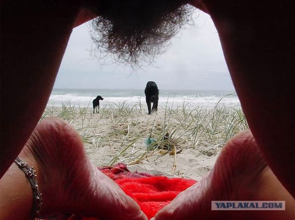 Ужасы и приколы, говорите?