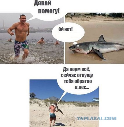Картинки с надписями