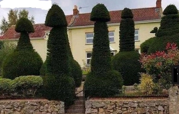 Подборка картинок из сети