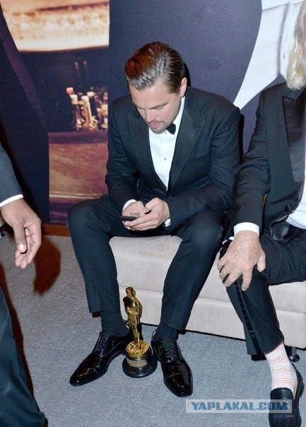 Вестник социальных сетей