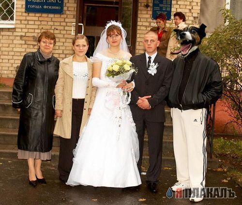 Фотожаба: собачья радость!