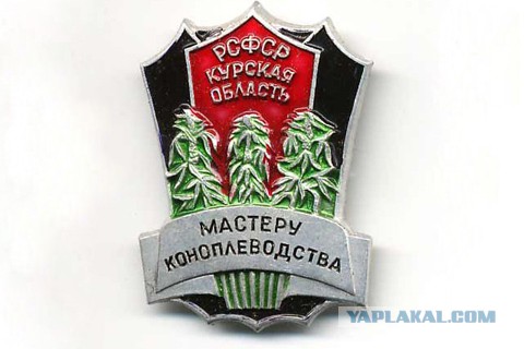 Семья наркодилеров расстреляла пару, обнаружившую плантацию конопли